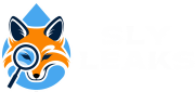 Sly Leaks Logo